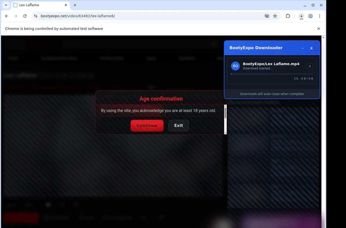Bootyexpo Video Downloader browser extension screenshot 3